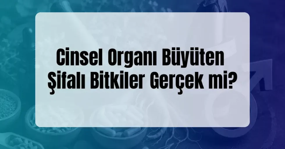 Cinsel Organı Büyüten Şifalı Bitkiler