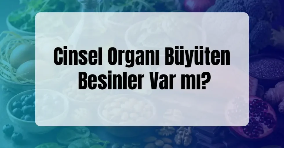 Cinsel Organı Büyüten Besinler Var mı?