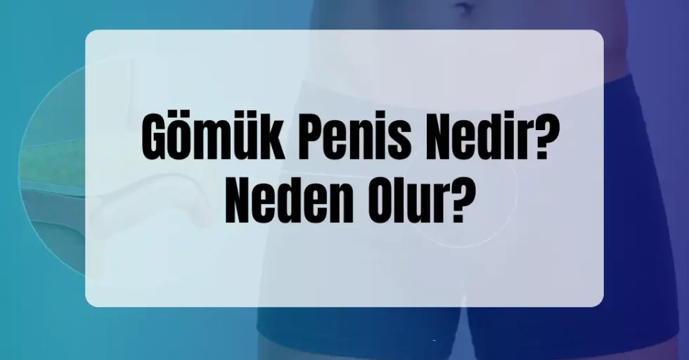Gömük Penis Nedir? Gömük Penis Nedir?