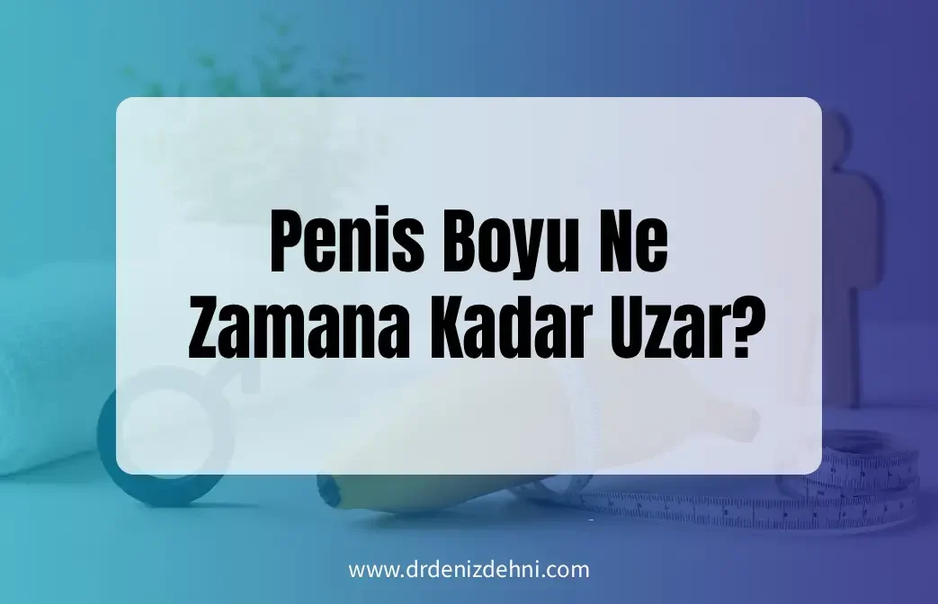 Penis Boyu Ne Zamana Kadar Uzar?