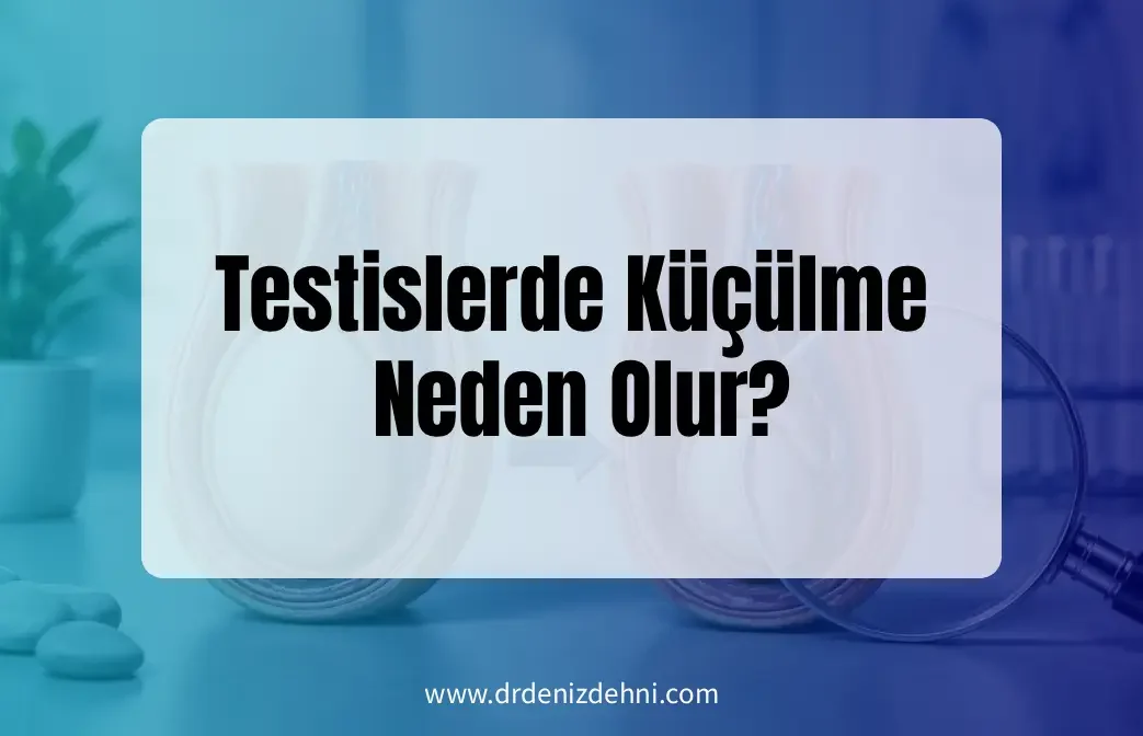 Testislerde Küçülme Neden Olur?
