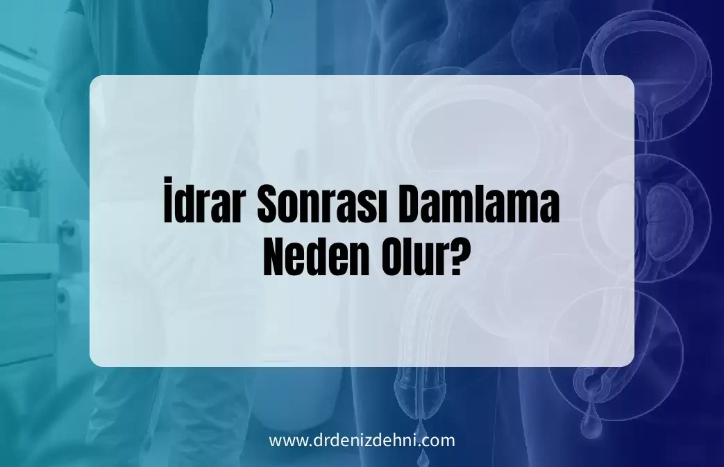 İdrar Sonrası Damlama Neden Olur?