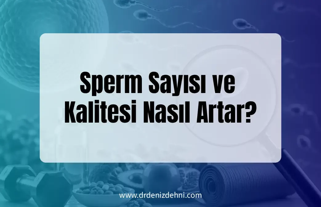 Sperm Sayısı ve Kalitesi Nasıl Artar?