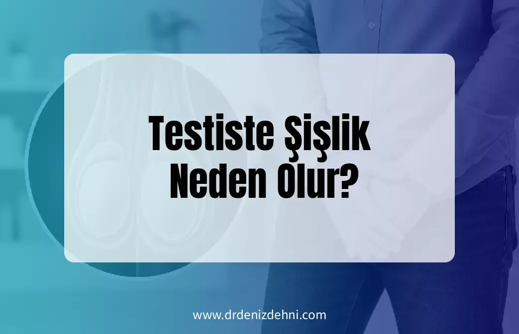 Testiste Şişlik Neden Olur? Testiste Şişlik Neden Olur?