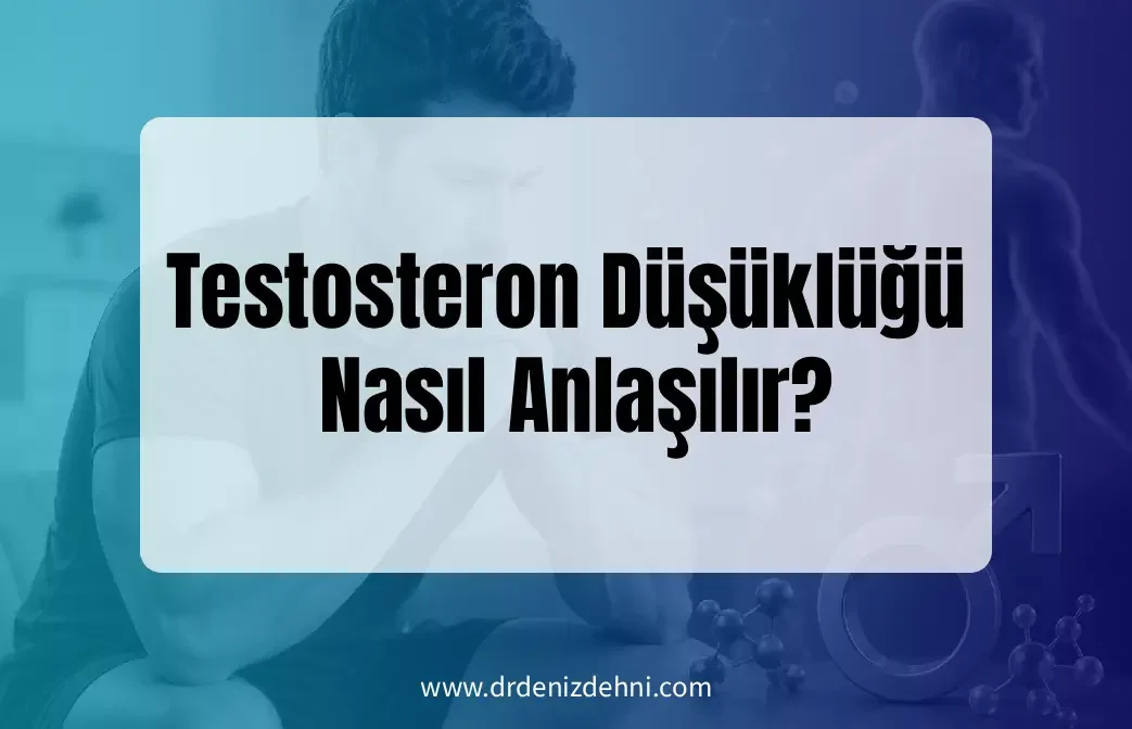 Testosteron Düşüklüğü Nasıl Anlaşılır?