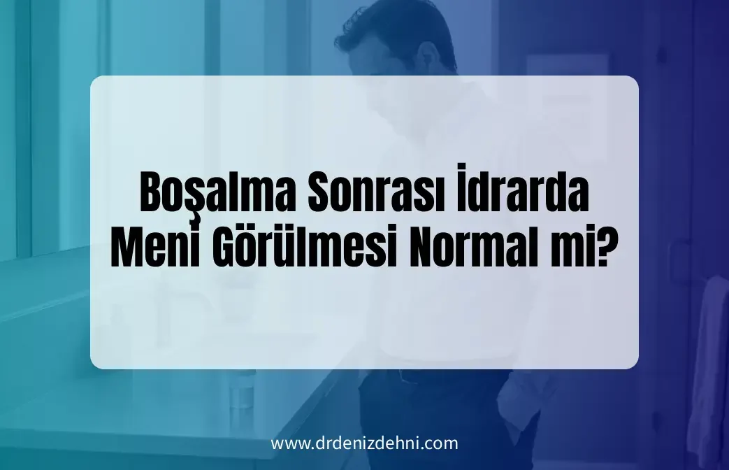 Boşalma Sonrası İdrarda Meni